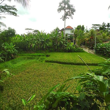 Mandala Hostel Ubud Luaran gambar