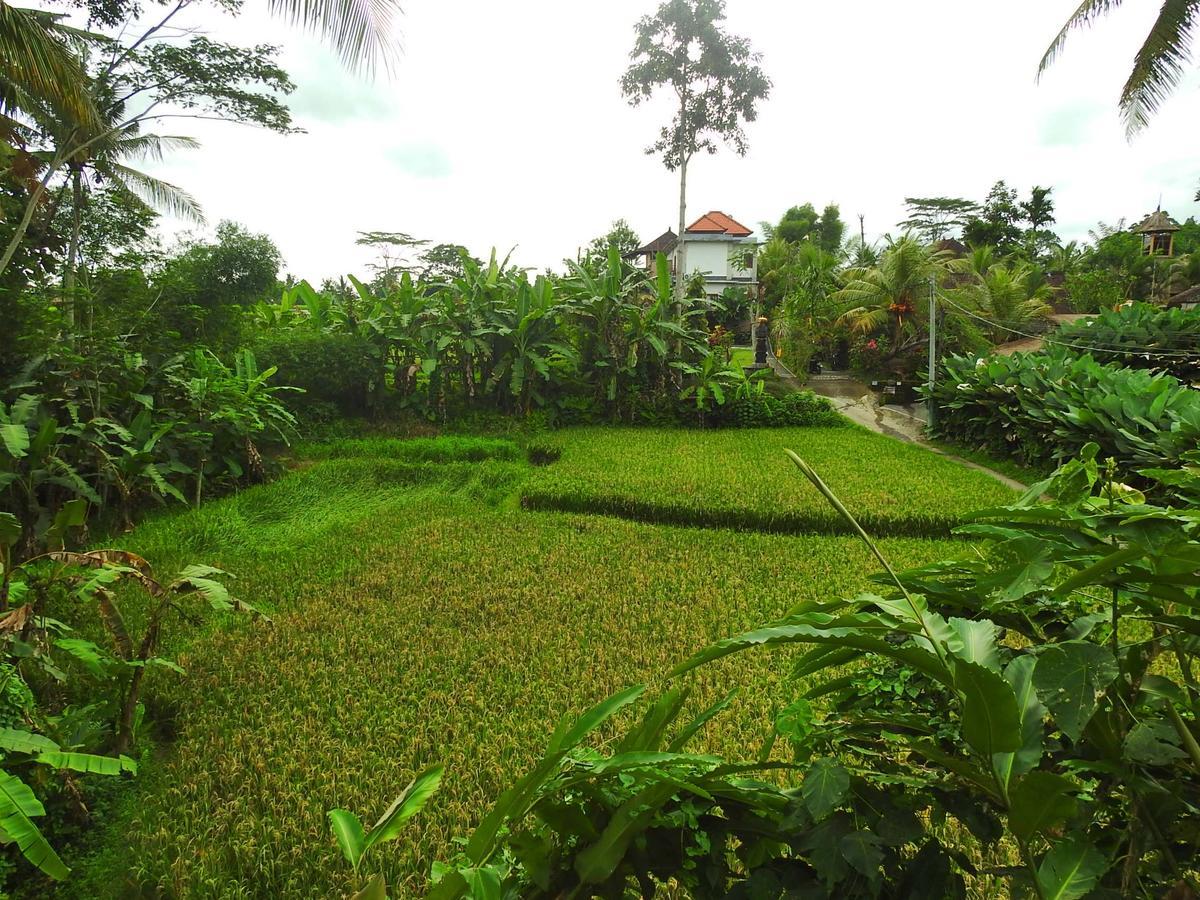 Mandala Hostel Ubud Luaran gambar