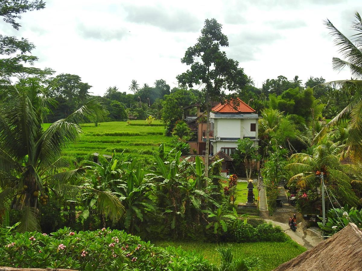 Mandala Hostel Ubud Luaran gambar