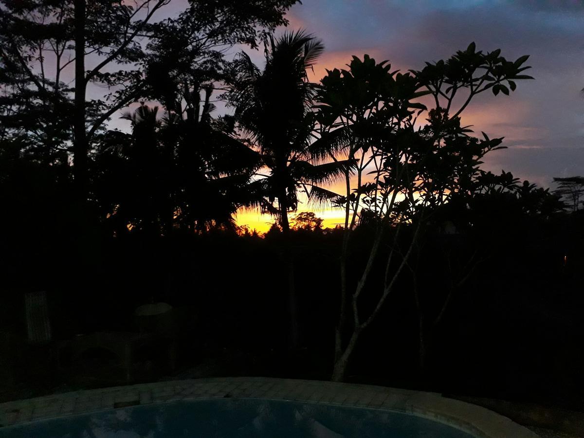 Mandala Hostel Ubud Luaran gambar
