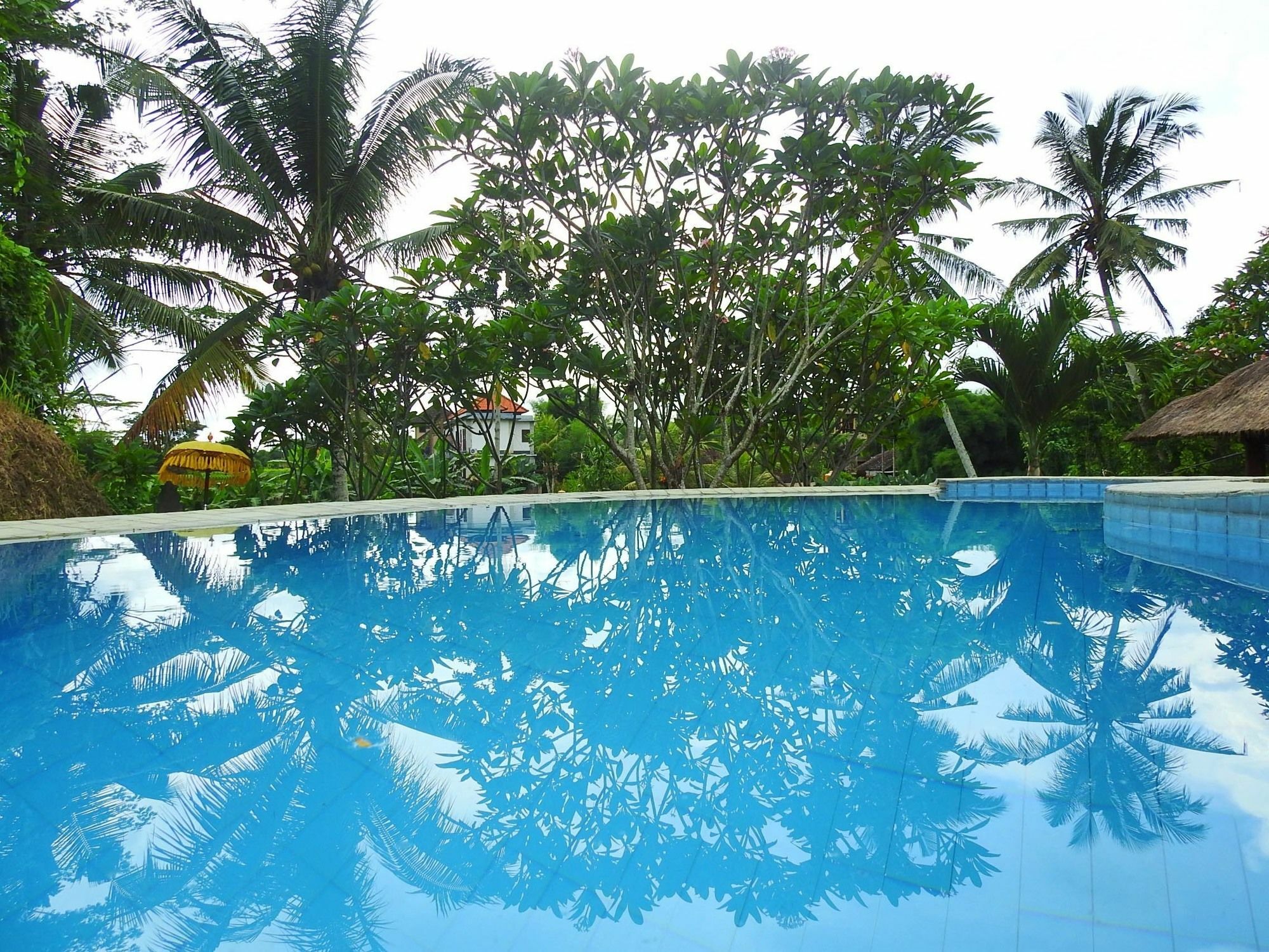 Mandala Hostel Ubud Luaran gambar