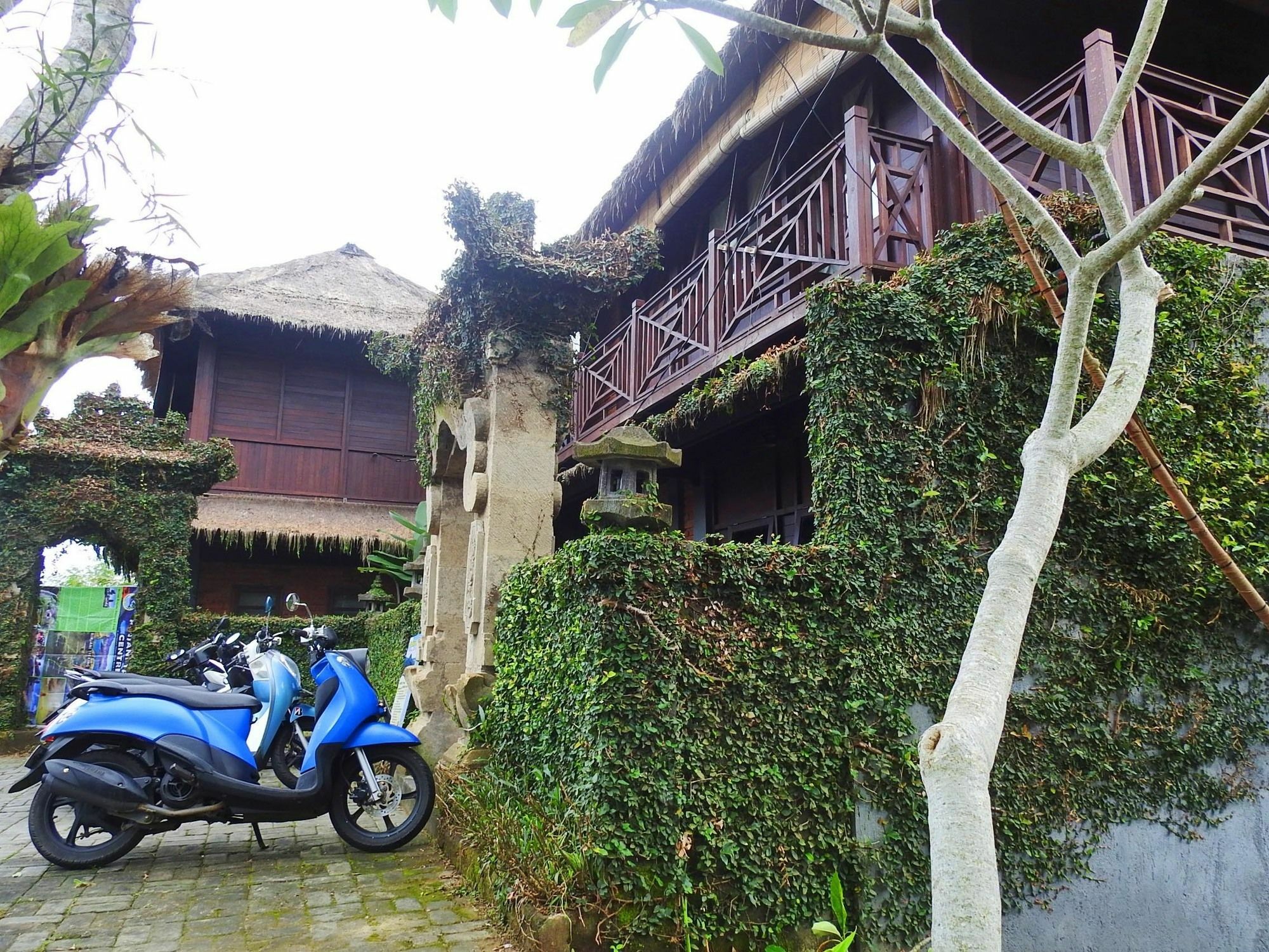 Mandala Hostel Ubud Luaran gambar